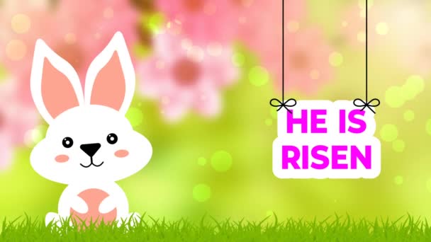 在模糊的背景下 用动画可爱的兔子卡通片摇曳着 改变着复活节的愿望 — 图库视频影像