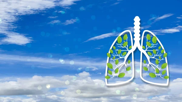 lung with leave concept image on blur blue sky background. concept for lung cancer awareness.