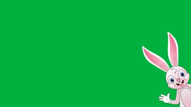 Güzel ve sevimli pembe tavşan yeşil ekranda selam veriyor..