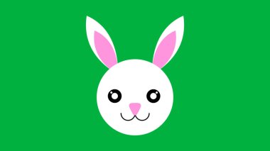 Pembe kulaklı, büyük gözlü sevimli beyaz tavşan..