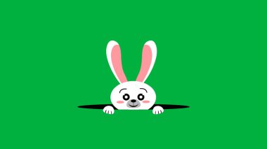 Kara delik illüstrasyonundan güzel beyaz tavşancık. Yeşil ekranda beyaz gülen tavşan.