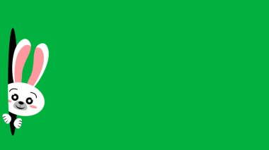 Büyük kulaklı beyaz tavşan ve yeşil ekrandaki delikten bakan sevimli bir gülümseme. Paskalya tatili için güzel tavşan.