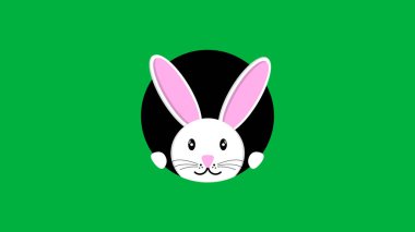 Güzel beyaz tavşan yeşil ekrandaki kara delikten dışarı bakıyor. Mutlu Paskalyalar.