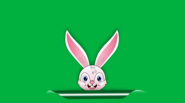 Yeşil ekranda güzel pembe gülen tavşan. Paskalya tatili konsepti.
