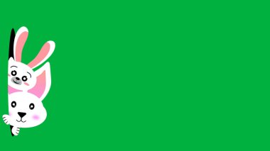 Yeşil ekranda iki beyaz tavşan resmi var. Güzel beyaz tavşanlar görüntüye bakıyor.