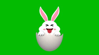 Kırık yumurtadan çıkan komik paskalya tavşanı yeşil ekran animasyonu Paskalya eğlencesi ve eğlencesi için. Komik tavşan çizimi.