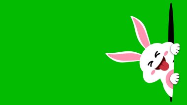 Yeşil ekrandaki kara delikten beyaz tavşan ifadesi. komik Paskalya bayramı animasyonu.