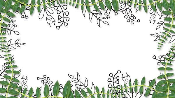 Yeşil bitki yaprakları ve hareketli siyah sınır bitkileriyle güzel bir doğa çerçevesi. vahşi tema ve dekorasyon konsepti.