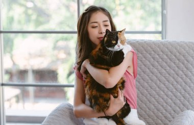 Boş zamanlarını evde kedinle geçiriyorsun. Güzel İskoç kedisiyle güzel bir Asyalı kadın. Koreli kız, evdeki sandalyede otururken sevimli uzun saçlı kediciğine sarılıyor. Arkadaş Canlısı Kedi Konsepti