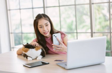 Mutlu, güzel Asyalı kadın evde masa başında otururken akıllı telefonuyla şirin İskoç kedisiyle selfie çekiyor. Genç serbest çalışan Asyalı kız evcil hayvanıyla oynadığı için işe ara verdi..