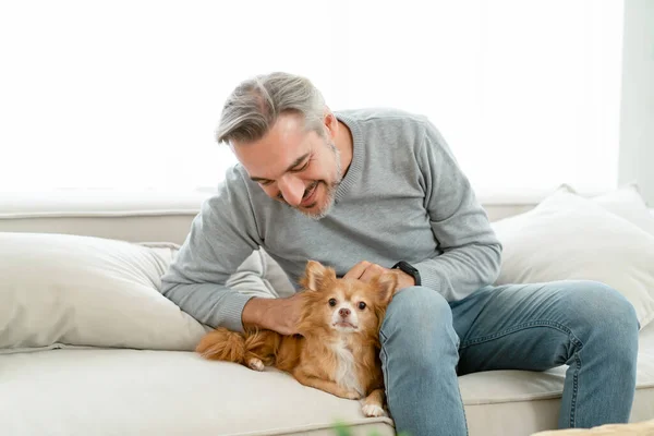 Happy Middle Age Caucasian Man Cuddling Chihuahua Dog While Sitting — Stock Photo, Image