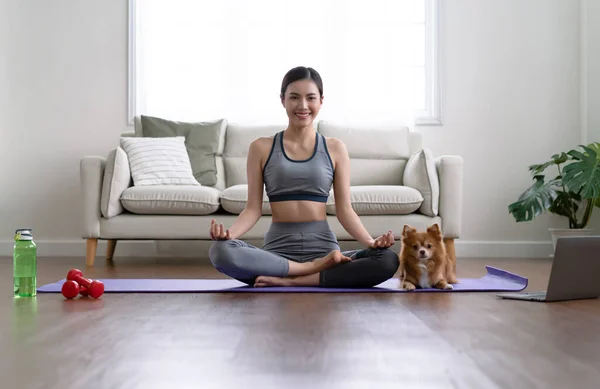 Home fitness, yoga or happy Asian woman with chihuahua dog relax for wellness or healthy lifestyle. Beautiful Asian woman sit on mat practice yoga watching online yoga class on laptop in living room.
