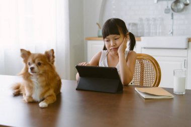 Küçük Asyalı kız mutfak odasında kahverengi chihuahua köpeğiyle tablet dijital tablet kullanırken üzgün ya da sıkılmış bir halde elinde çenesiyle masada oturuyor. İnsanlar ve köpekler, evcil hayvanlar evlat edinme, arkadaş canlısı kavramlar.