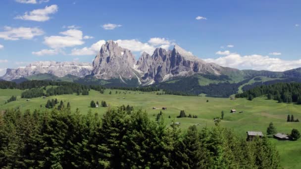 Vista Aérea Prado Alpino Seiser Alm Verão Montanha Dolomiti Itália — Vídeo de Stock