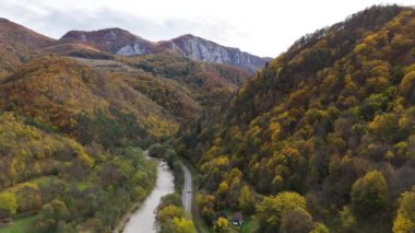 Sonbahar ormanıyla Dağ Vadisi yolunda araba sürüşünün hava görüntüsü