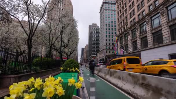 Χρόνος Λήξης Κυκλοφορίας Στην Λεωφόρο Στη Νέα Υόρκη Νέα Υόρκη — Αρχείο Βίντεο