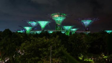 Singapur 'daki Supertree Grove' un zaman aşımı videosu gece görüldü