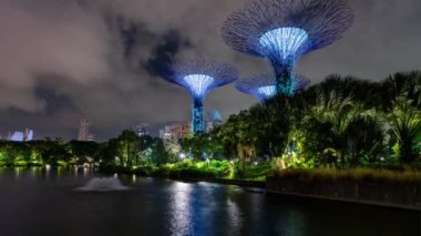 Singapur Supertrees 'in hızlandırılmış klibi gece aydınlandı. Küçük bir gölde yansıyan