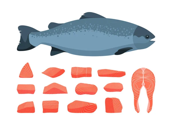 Ψάρι Σολομού Κινούμενο Κόκκινο Πέστροφα Πρώτες Μπριζόλες Απροετοίμαστες Φιλέτο Θαλασσινά — Διανυσματικό Αρχείο