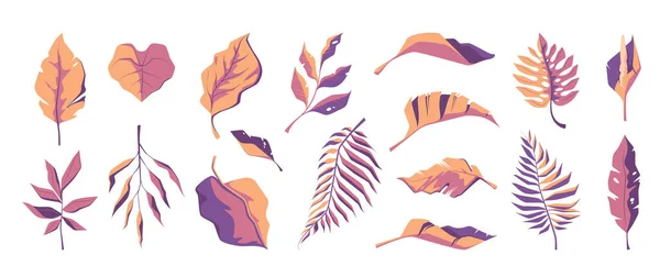 Екзотична Колекція Листя Тропічні Абстрактні Листя Ботанічний Квітковий Дизайн Мультяшні — стоковий вектор