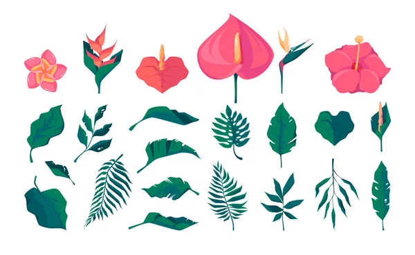 Екзотичні Листя Квіти Мультяшні Тропічні Декоративні Квіткові Елементи Ботанічний Квітковий — стоковий вектор