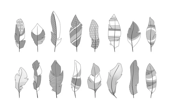 Plumes Ornementales Formes Abstraites Plumettes Ailes Oiseaux Décoratives Silhouettes Tribales — Image vectorielle