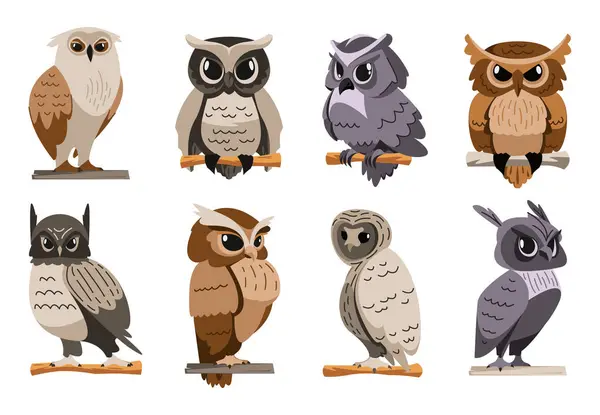 Owls Collection Cartoon Owl Face Eyes Flying Predator Bird Heads — Stock Vector