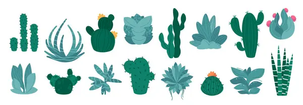 カクテルと簡素な植物 漫画はすばやく装飾的な植物園の要素 かわいいアガベとサッティとトウモロコシとスパイクが付いています ベクトル分離されたコレクション ロイヤリティフリーストックベクター