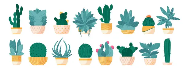 Suculenta Maceta Cactus Dibujos Animados Macetas Con Flores Plantas Desérticas Gráficos Vectoriales