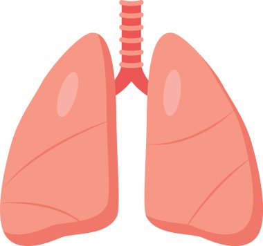 İnsan akciğerleri ve solunum sisteminin detaylı bir çizimi, sağlıklı nefes almanın önemini vurguluyor. Soluk borusunu alveollerde gösteriyor, sağlık için hayati önem taşıyor.