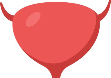 İnsan idrar torbasının idrar depolaması, idrar sistemindeki rolünün altını çizilmesi ve genel sağlık bakımının basit ve bilgilendirici bir şekilde resmedilmesi.