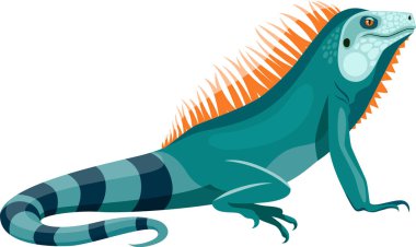 Large green iguana resting peacefully, featuring an eye catching orange crest and a beautifully striped tail, highlights vibrant colors and intricate details of its scaly skin clipart