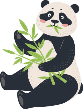 Adorable baby panda bear sitting with legs crossed, holding and eating fresh green bamboo branches, isolated illustration on white background clipart