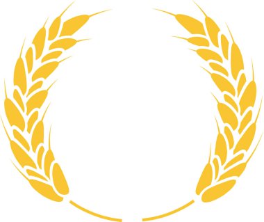 Tarımı, hasatı ve sağlıklı besinleri temsil eden iki biçimli buğday sapı beyaz arka planda izole edilmiş bir çember oluşturuyor.