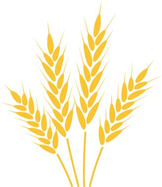 Olgun buğday sapları büyümeyi ve bolluğu sembolize eder, sağlıklı beslenmenin özünü temsil ederken doğa hasadının zenginliğini ve kırsal tarımın güzelliğini somutlaştırır.
