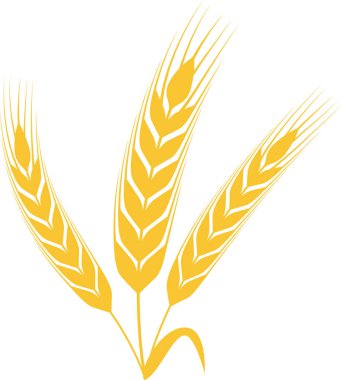 Beyaz bir zemin üzerinde büyüyen buğdayın üç stilize kulağı tarımı, tarımı ve temel gıda üretimini simgeliyor. Basit, minimalist bir tasarım.