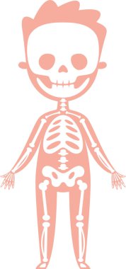 Bir çocuğun iskeletinin stilize edilmiş x ışını çizimi, pembe bir siluete karşı kemikleri ve kafatasını vurgulamak, anatomi ve sağlık alanlarındaki eğitim ve tıbbi bağlamlar için mükemmel.