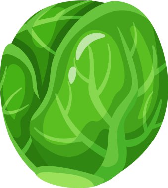 Canlı yeşil yapraklar, sağlıklı beslenme ve vejetaryen yaşam tarzları için ideal olan Brüksel lahanasının taze ve sağlıklı cazibesini gösteren kompakt bir küre oluştururlar.