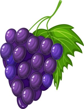 Yeşil bir yaprağa bağlanmış mor üzüm kümesinin canlı bir çizimi. Üzümler parlak bir dokuya sahip tasvir edilmiş, tazeliklerini ve olgunluklarını vurguluyorlar.