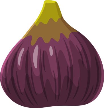 Beyaz arka planda izole edilmiş yeşil saplı tek bir olgun incir meyvesinin çizgi film çizimi canlı mor derisini ve eşsiz dokusunu gözler önüne seriyor.