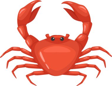 Canlı kırmızı bir yengecin, temiz beyaz bir arkaplanda pençelerini kaldırarak bu güzel deniz ürünleri ve deniz yaratığının cazibesini vurguladığı karikatür çizimi.