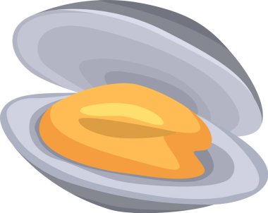 Açık midye, temiz beyaz arka planda lezzetli portakal eti, deniz ürünleri restoranları, balık pazarları ve çeşitli aşçılık projeleri için idealdir. Gurme yemekleri sergilemek için mükemmel.