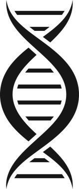 DNA molekülü genetik bilgi içeren çift sarmal oluşturur. Kimyasal bazda adenin, guanin, sitozin ve timin kodlanır. Kalıtım ve protein sentezi için gereklidir.