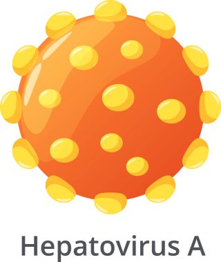 Hepatit. Karaciğerde iltihaplanmaya neden olan bir virüs. Ateş, sarılık ve karın ağrısı gibi belirtileri gösteriyor.