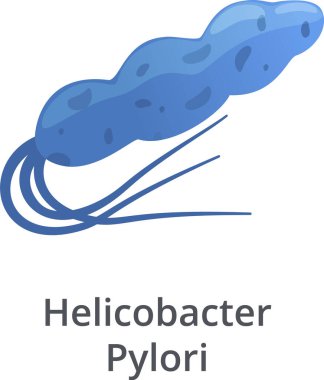 Helicobacter Pylori bakterisi kamçıyla hareket ederek mide ülseri ve mide iltihabına yol açar. Peptik ülser hastalığına neden olur. Sindirim sisteminde yaşayan yaygın bir bakteri türüdür.