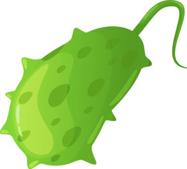 Flagellum yüzen ve enfeksiyon yayan yeşil sivri uçlu patojenik mikroorganizma, mikrobiyoloji ve halk sağlığına yönelik biyolojik bir tehdidi temsil ediyor.