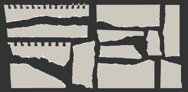 Yırtık kağıt. Yırtık kenarlı defter sayfaları, karalama defteri için yırtık beyaz kağıt parçaları. Not iletileri ve bilgi panosu şablonları. Vektör izole edildi.