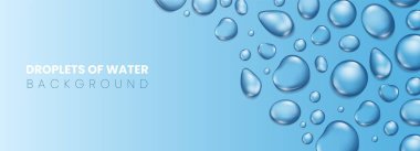 Mavi su damlaları. Üç boyutlu gerçekçi yağmur damlacıkları, ışık yansıması, soyut ıslak doku, dağınık saf su damlaları. Dünya Su Günü, gezegen kaynakları vektör arkaplanını kaydet.