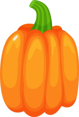 Olgun turuncu bir balkabağının karikatür çizimi. Yeşil saplı, beyaz bir zemin üzerinde duruyor. Sonbahar temaları ve hasat festivalleri için mükemmel.