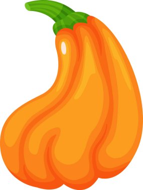 Yeşil saplı olgun bir portakal kabağının karikatür çizimi, beyaz arka planda izole edilmiş, sonbahar tasarımları ve Şükran Günü projeleri için mükemmel.